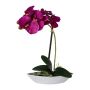 Orchidée Phalaenopsis artificielle ORWAN, coupe décorative, racines, lilas, 30cm