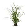 Herbe artificielle Roseau JOLPA en motte de terre, racines, vert, 55cm