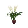 Fleur artificielle Spathiphyllum AYASHA avec des fleurs, pot en céramique, blanc, 60cm