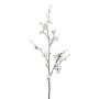 Branche de fleurs de cognassier artificielle FLORKE avec des fleurs, givré, blanc, 90cm