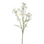 Branche décorative Camomille WISOP, blanc, 75cm