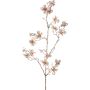 Branche décorative Cornouiller HISOP, beige, 85cm