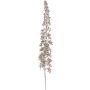 Fleur décorative Eremurus EISOP, champagne, 105cm