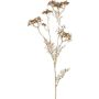 Branche artificielle de carotte sauvage GRAHEN, dorée, 85 cm