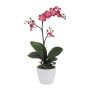 Fleur décorative Orchidée Phalaenopsis CRILBOR, pot en céramique, racines, cerise, 55cm