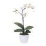 Fleur décorative Orchidée Phalaenopsis CRILBOR, pot en céramique, racines, crème, 55cm