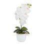 Fleur décorative Orchidée Phalaenopsis DRINTOR, pot en céramique, racines, blanc, 40cm