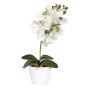 Fleur décorative Orchidée Phalaenopsis DRINTOR, pot en céramique, racines, blanc-vert, 40cm