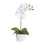 Fleur décorative Orchidée Phalaenopsis TRALKE, pot décoratif, racines, blanc, 40cm