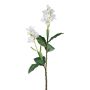 Branche artificielle Canna indica DRAMTEL, blanc, 145cm