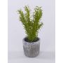 Plante artificielle de romarin POLINDA dans un pot décoratif, vert, 26 cm