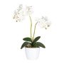Fleur décorative Orchidée Phalaenopsis FRUXO, pot en céramique, racines, blanc, 50cm