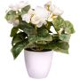 Fleur artificielle Bégonia SYLINA, pot décoratif blanc, crème, 25cm