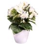 Fleur artificielle Bégonia SYLINA, pot décoratif blanc, crème, 30cm