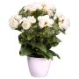Fleur artificielle Bégonia SYLINA, pot décoratif blanc, crème, 35cm
