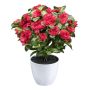 Fleur artificielle azalée WHENFA dans un pot décoratif blanc, rouge, 30 cm