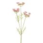 Branche artificielle de carotte sauvage KRAHEN, rose, 50 cm