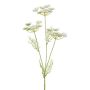Branche artificielle de carotte sauvage KRAHEN, blanche, 50 cm