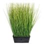 Herbe décorative Pennisetum LOPIMA dans un pot en zinc, vert, 45cm