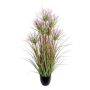 Herbe décorative Papyrus DARSA en pot décoratif, vert-rouge, 95cm