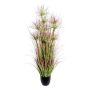 Herbe décorative Papyrus DARSA en pot décoratif, vert-rouge, 125cm