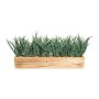 Herbe décorative Roseau WENMAL dans un bac en bois, vert, 52x10x23cm