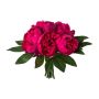 Bouquet de fleurs artificielles Pivoine SIRKO, cerise, 30cm