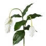Branche décorative Medinilla TRUHAN, blanche, 80 cm