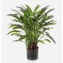 Plante artificielle Calathea Rufibarba ADELFRIEDE, verte, 90 cm