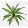 Plante artificielle fougère nid JANE, tige, verte, 40 cm