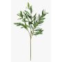 Branche d'olivier artificielle BRANDAR, crossdoor, verte, 70 cm