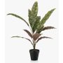 Fausse plante Calathea Makoyana WIDO dans un pot décoratif, vert-bordeaux, 60 cm