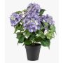 Hortensia artificiel DORJA dans un pot décoratif, lilas, 40 cm