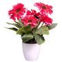 Fleur artificielle Gerbera KROLVEN en pot décoratif blanc, rose fuchsia, 27cm