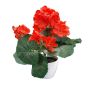 Fleur artificielle Géranium VORTEN en pot décoratif blanc, rouge, 25cm