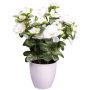Fleur artificielle Azalée FRALVI en pot décoratif, blanc, 26cm