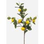 Fausse branche de citronnier QUEOSHA avec des fruits, jaune, 95cm
