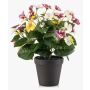 Pensée artificielle NORHA dans un pot décoratif, blanc-violet-jaune, 30 cm