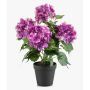 Hortensia artificiel DORJA dans un pot décoratif, violet, 40 cm