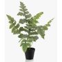 Plante artificielle : fougère à taches dorées EYMEN dans un pot décoratif, verte, 60 cm