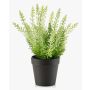 Bruyère artificielle ELSAWO dans un pot décoratif, crossdoor, blanc-vert, 30 cm