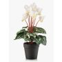 Cyclamen artificiel VERIANA dans un pot décoratif, blanc-vert, 30 cm
