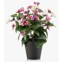 Pensée artificielle NORHA dans un pot décoratif, rose-violet-blanc, 30 cm