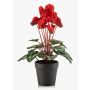 Cyclamen artificiel VERIANA dans un pot décoratif, rouge, 30 cm