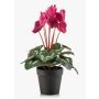 Cyclamen artificiels VERIANA dans un pot décoratif, rose, 30 cm