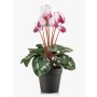 Cyclamen artificiels VERIANA dans un pot décoratif, blanc-rose, 30 cm