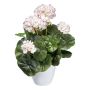 Fleur artificielle Géranium KLUMOR en cache-pot en mélamine, blanc-rose, 35cm