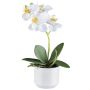 Orchidée Phalaenopsis en tissu WERKAN, pot en céramique, racines, blanc, 27cm