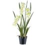 Fleur décorative Orchidée Cymbidium KLORVEN, racines, blanc-vert, 80cm