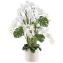 Composition florale artificielle d'orchidée et de philodendron CASTOL, sansevieria Mikado, pot décoratif, blanc, 120cm